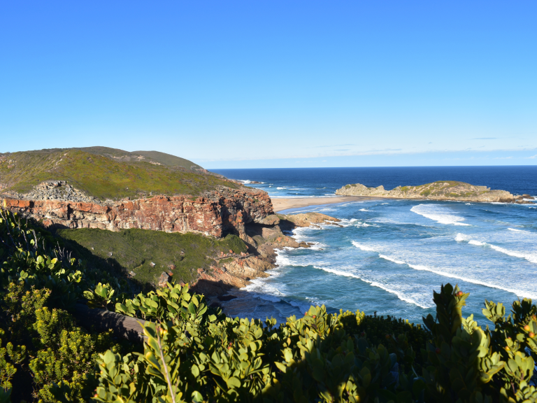 Exploring the Garden Route: When to Visit and What to Expect