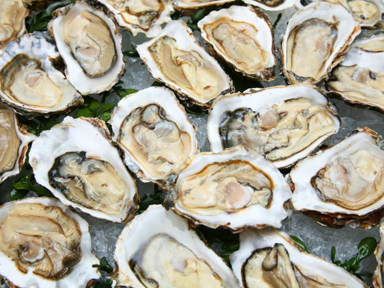 Savoring the Flavors of the Garden Route: A Culinary Adventure
